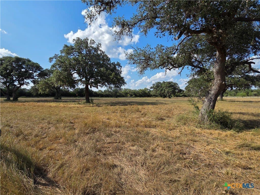5.94 acres in DeWitt County - photo 5