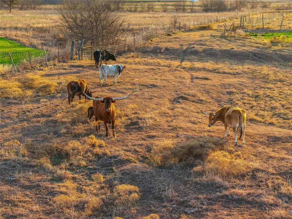 50.51 acres in Bell County - photo 25