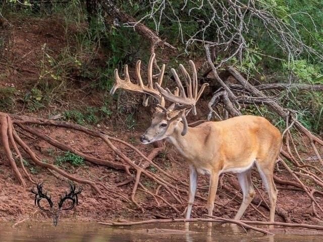 1,137 acres in Nolan County - photo 3