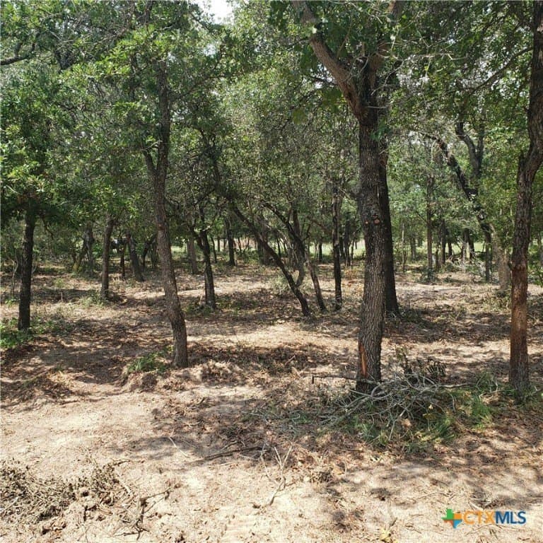 4.32 acres in Gonzales County - photo 21