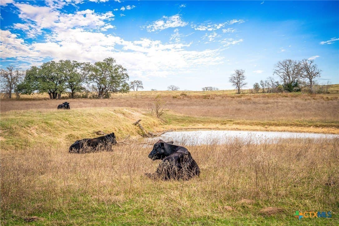 4.32 acres in Gonzales County - photo 19