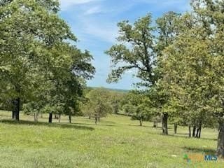 4.32 acres in Gonzales County - photo 5
