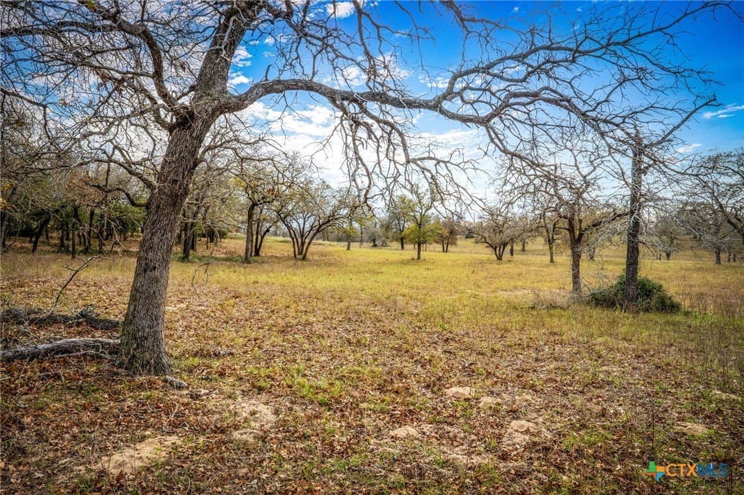 4.32 acres in Gonzales County - photo 8