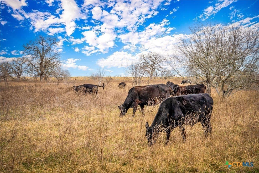 4.32 acres in Gonzales County - photo 18