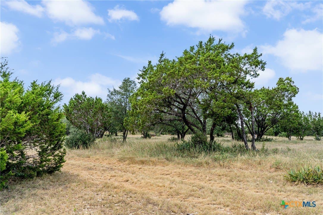 11.62 acres in Bell County - photo 11