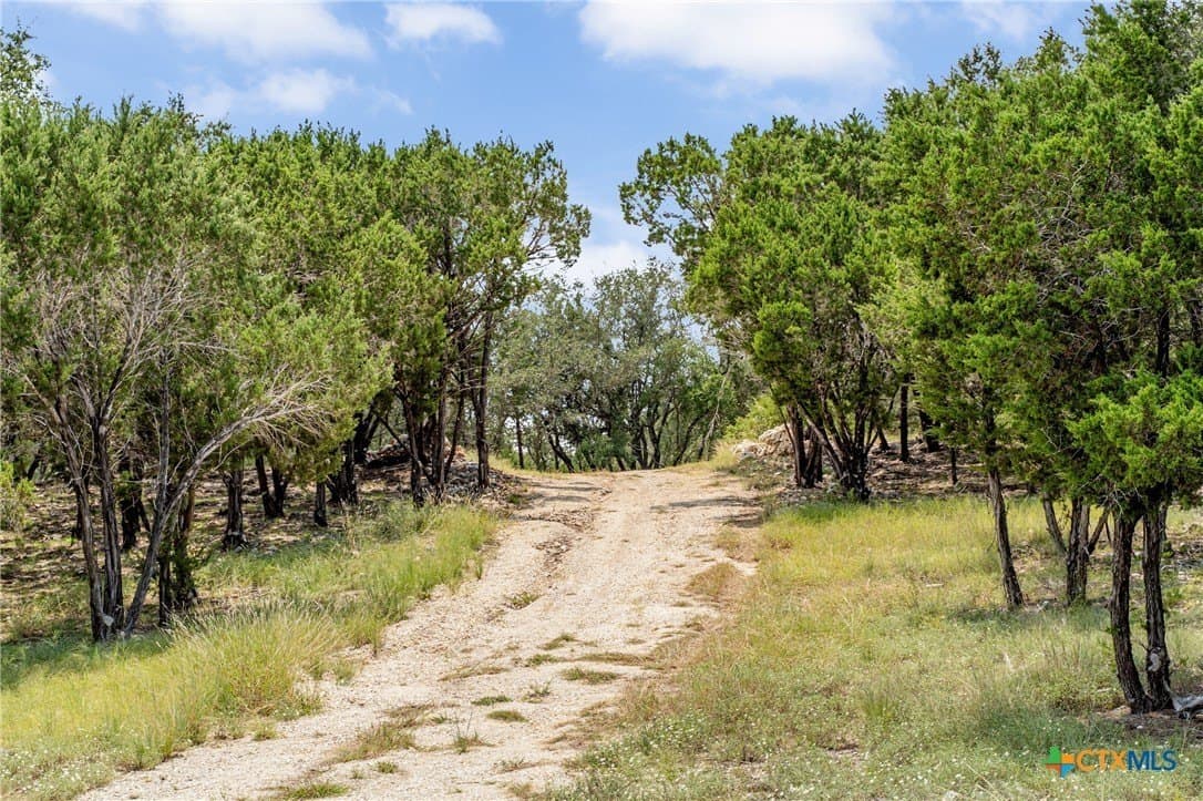 11.62 acres in Bell County - photo 21