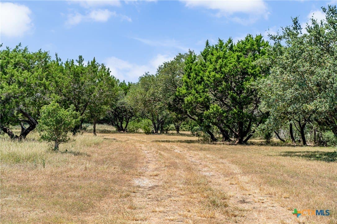 11.62 acres in Bell County - photo 9
