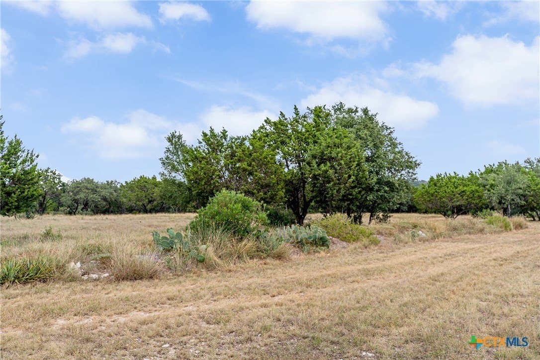11.62 acres in Bell County - photo 12