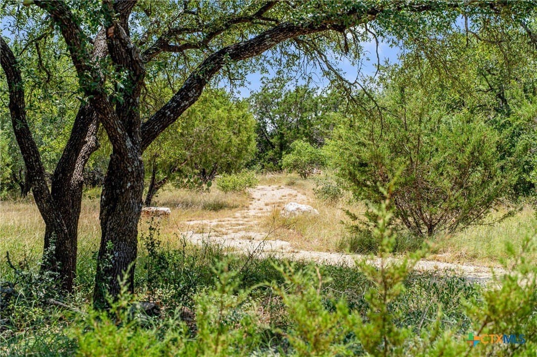 11.62 acres in Bell County - photo 41