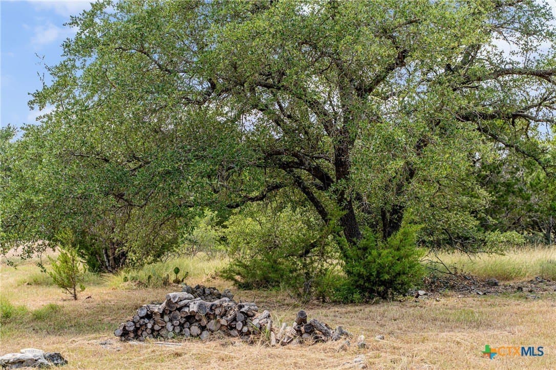 11.62 acres in Bell County - photo 28