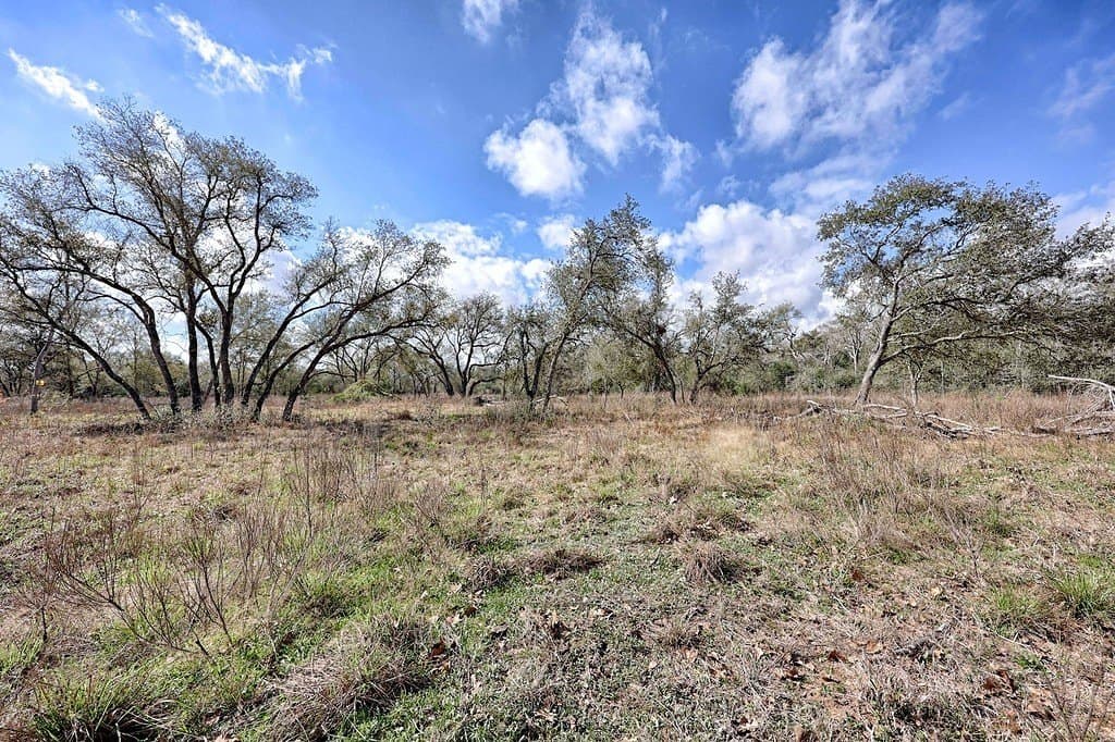 5 acres in Colorado County - photo 9