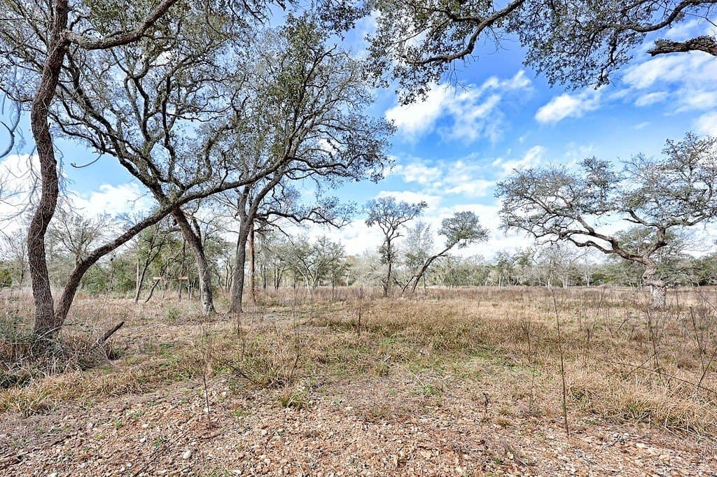 5 acres in Colorado County - photo 10