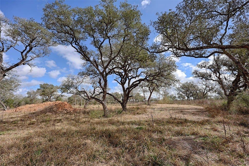 5 acres in Colorado County - photo 8