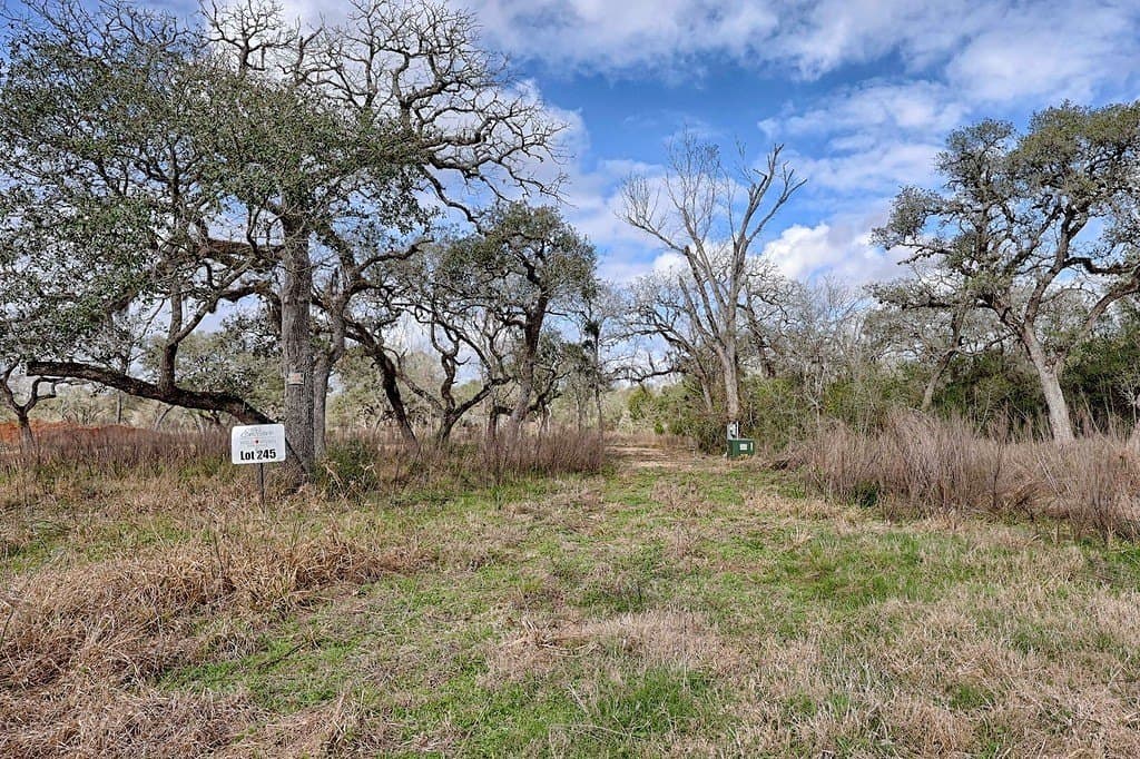 5 acres in Colorado County - photo 13