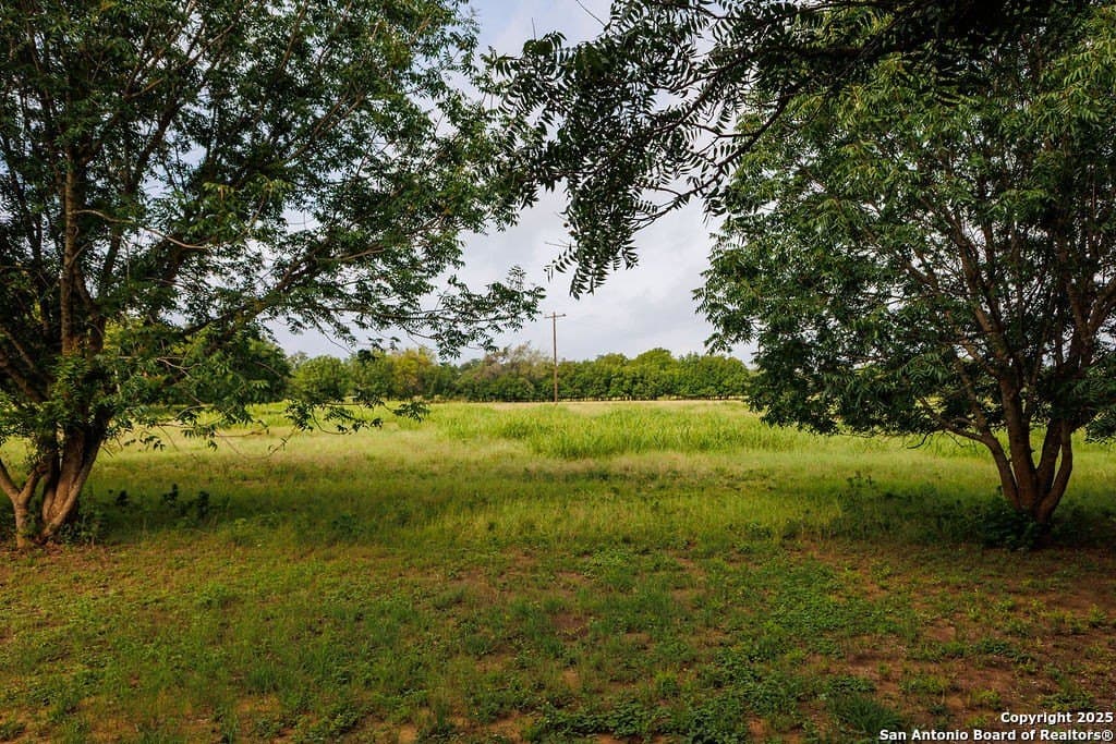 21 acres in Guadalupe County - photo 29