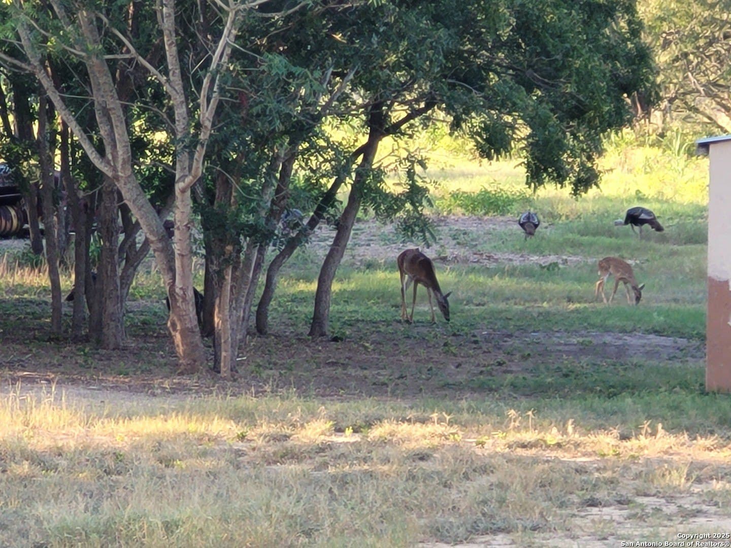 21 acres in Guadalupe County - photo 34