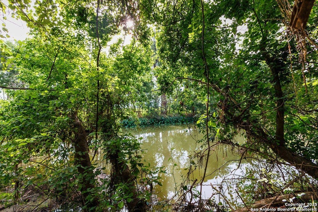 21 acres in Guadalupe County - photo 32