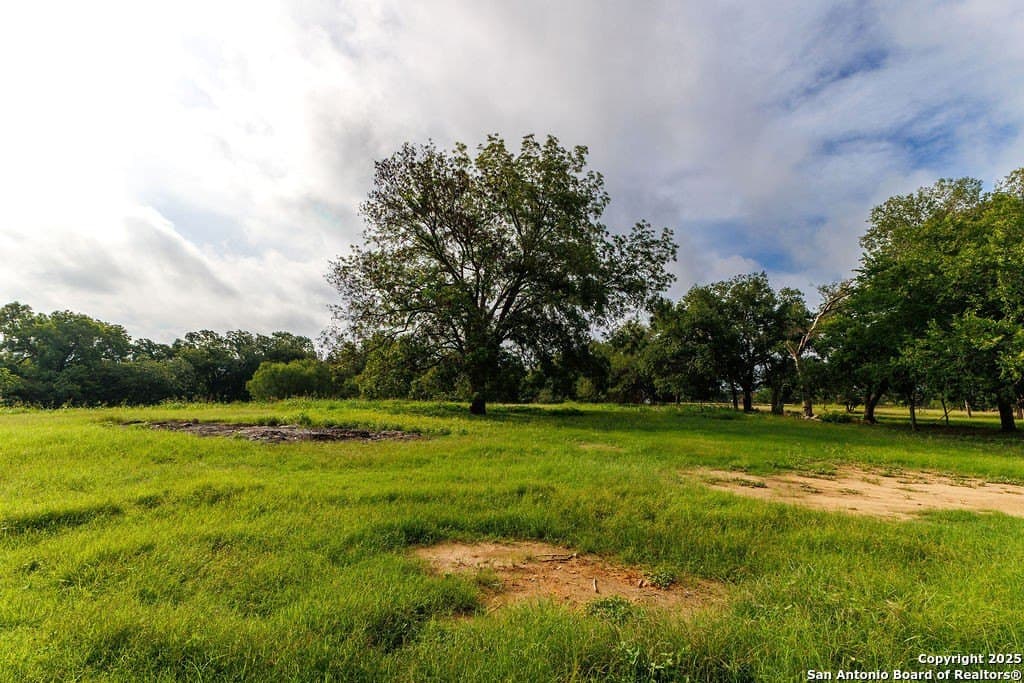 21 acres in Guadalupe County - photo 30