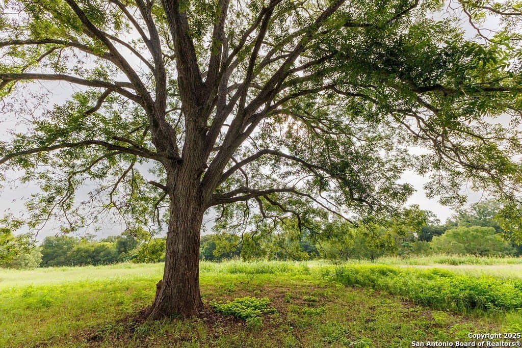 21 acres in Guadalupe County - photo 31