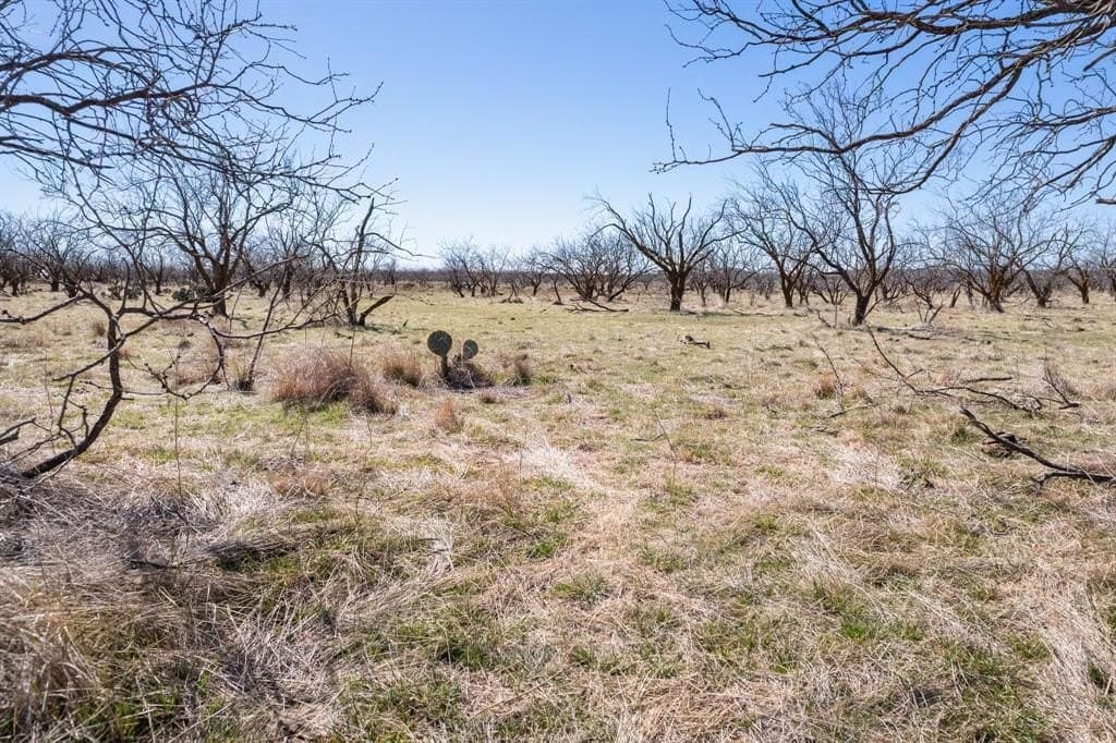 400 acres in Coleman County - photo 8