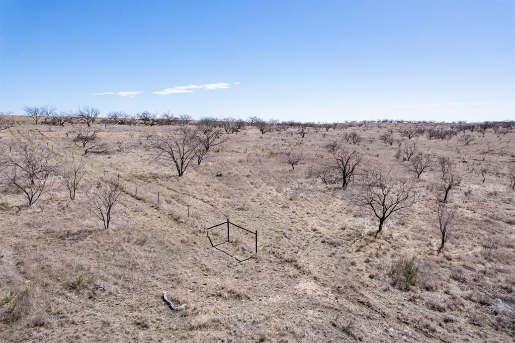 400 acres in Coleman County - photo 21