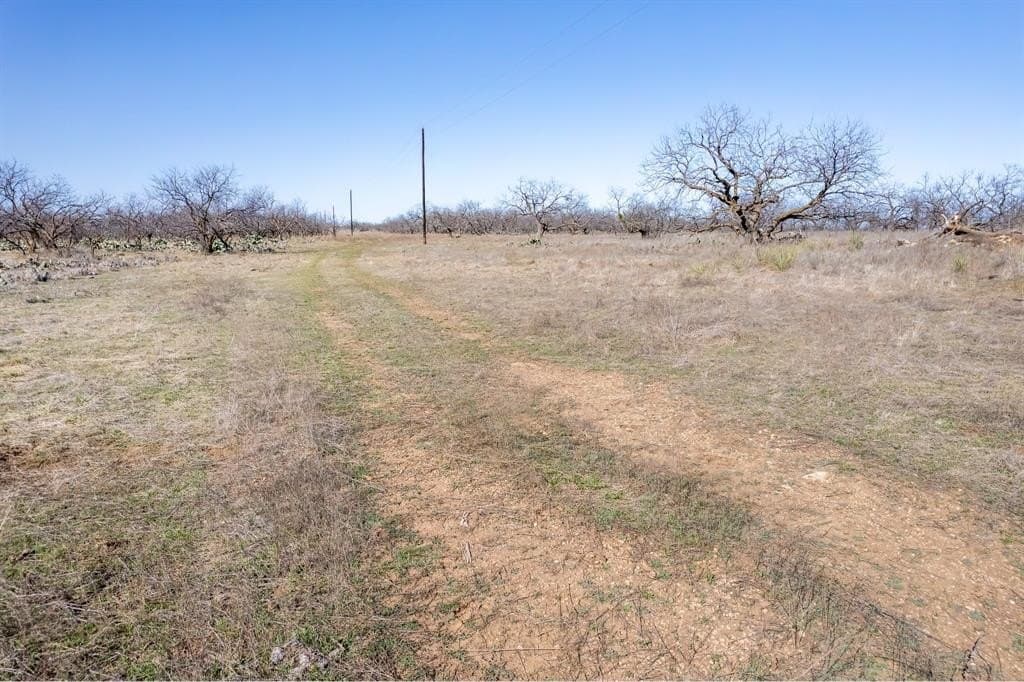 400 acres in Coleman County - photo 9