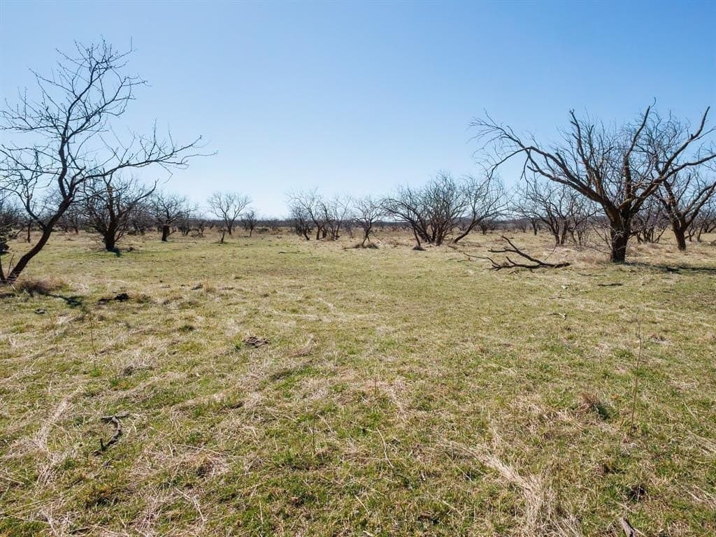 400 acres in Coleman County - photo 6