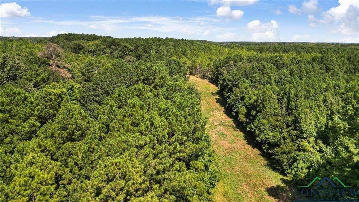 79.49 acres in Harrison County - photo 8