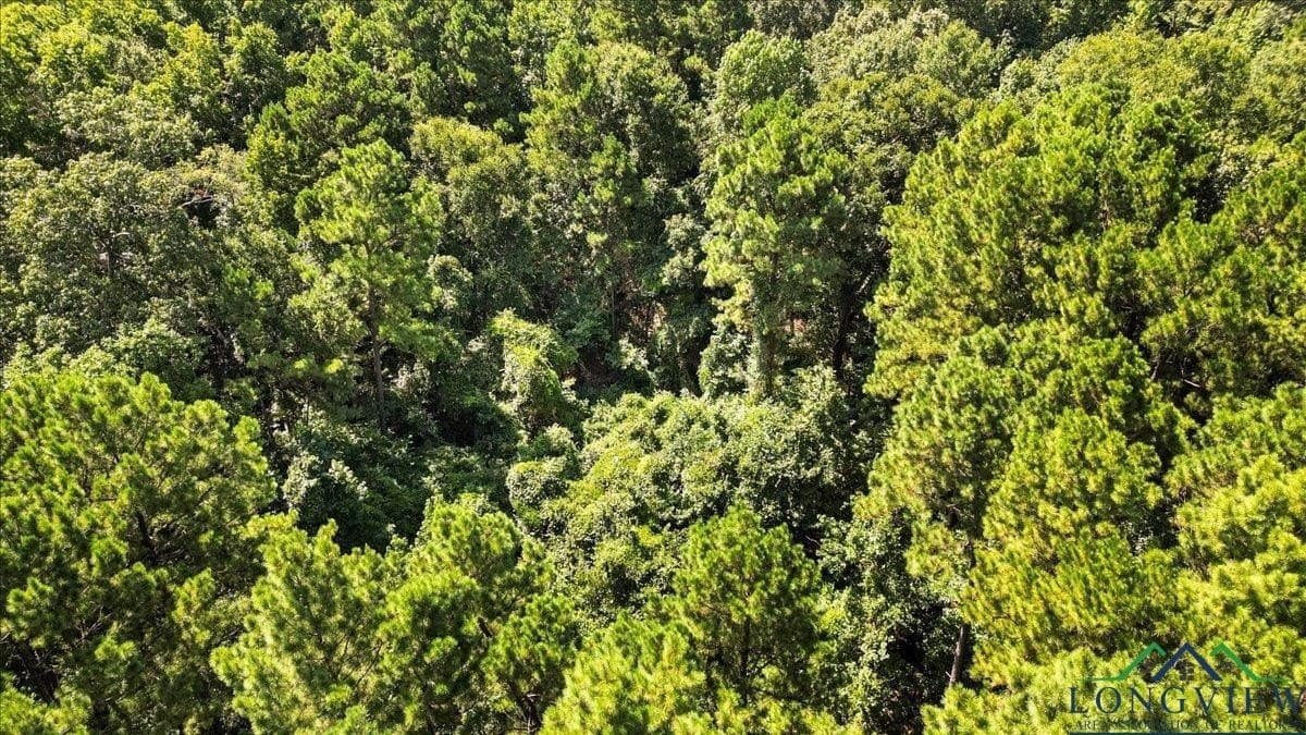 79.49 acres in Harrison County - photo 7