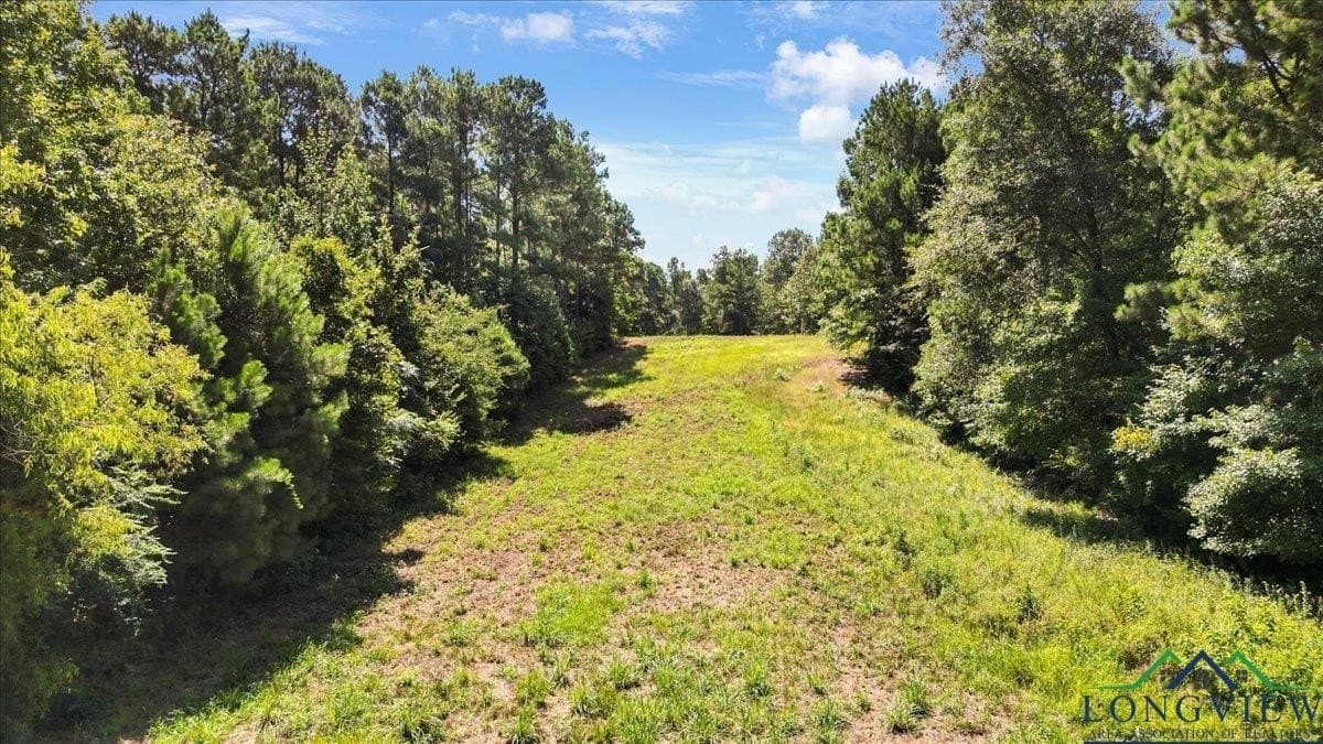 79.49 acres in Harrison County - photo 11