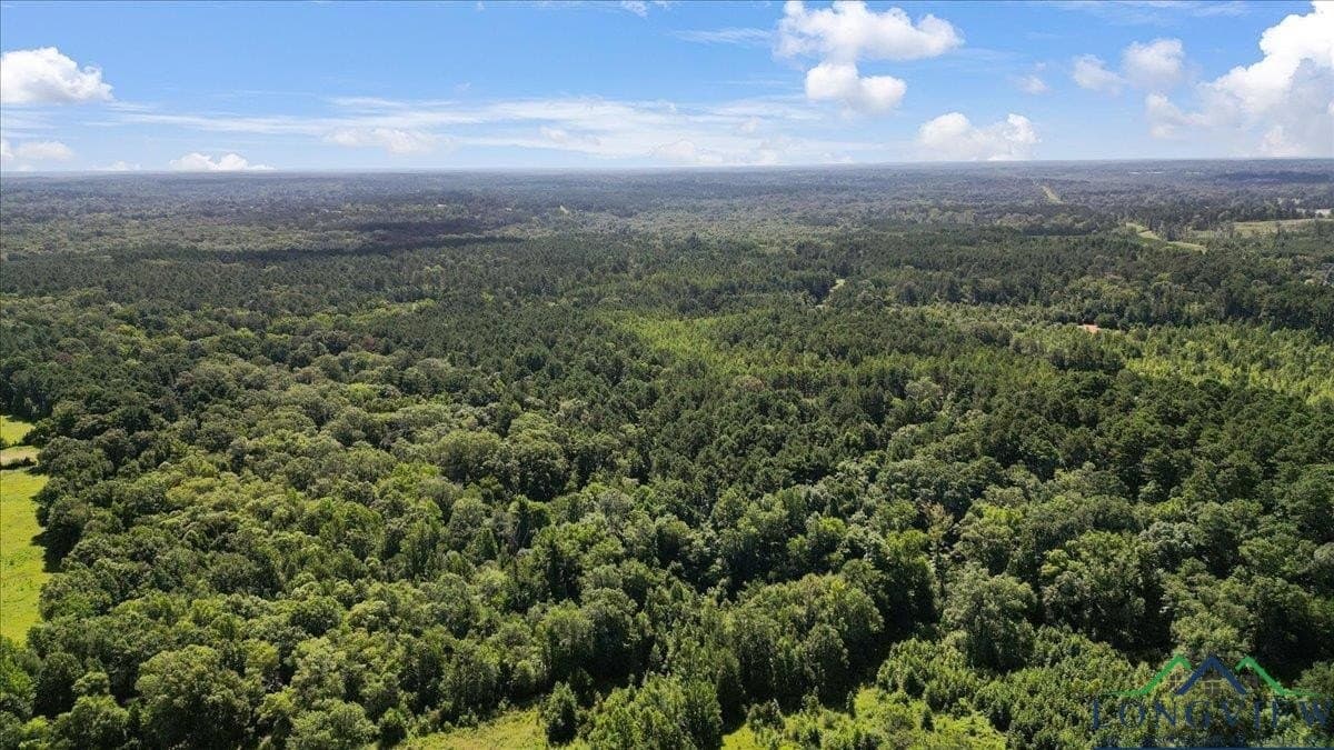 79.49 acres in Harrison County - photo 6