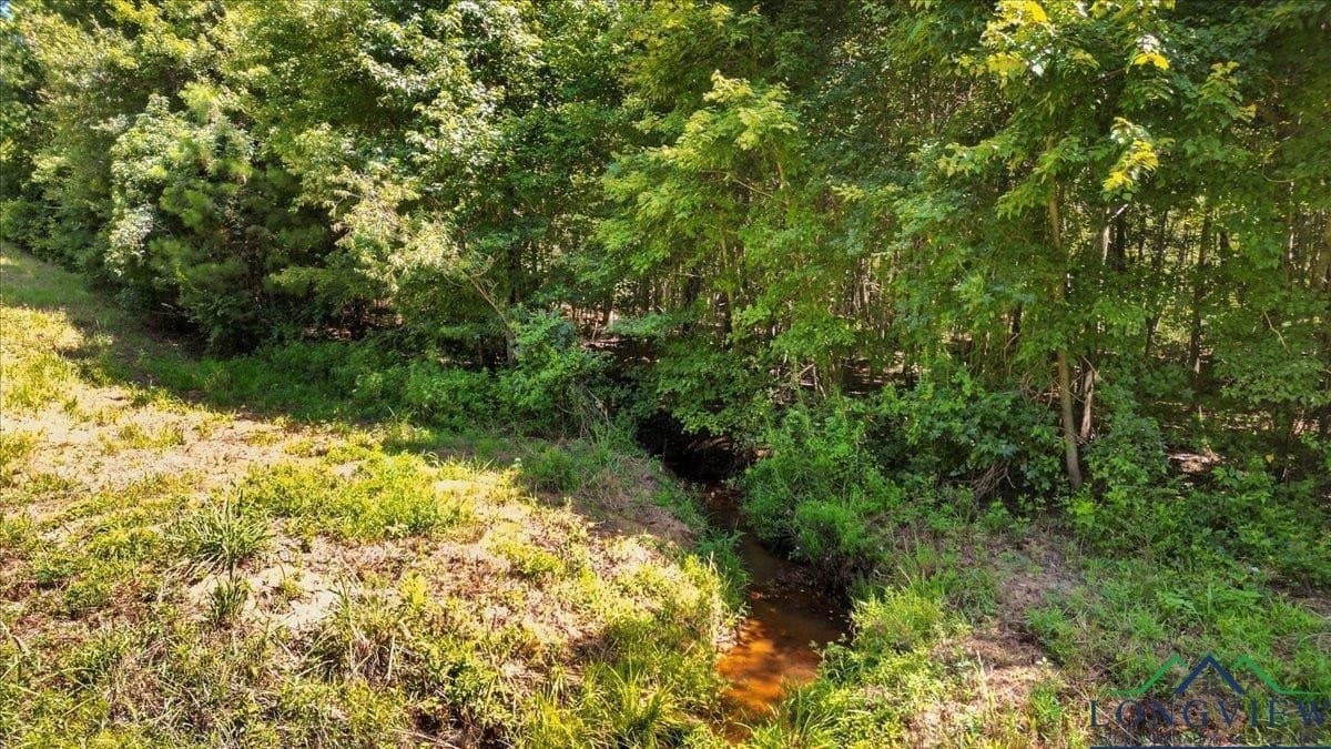 79.49 acres in Harrison County - photo 13