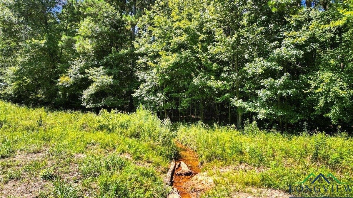 79.49 acres in Harrison County - photo 14