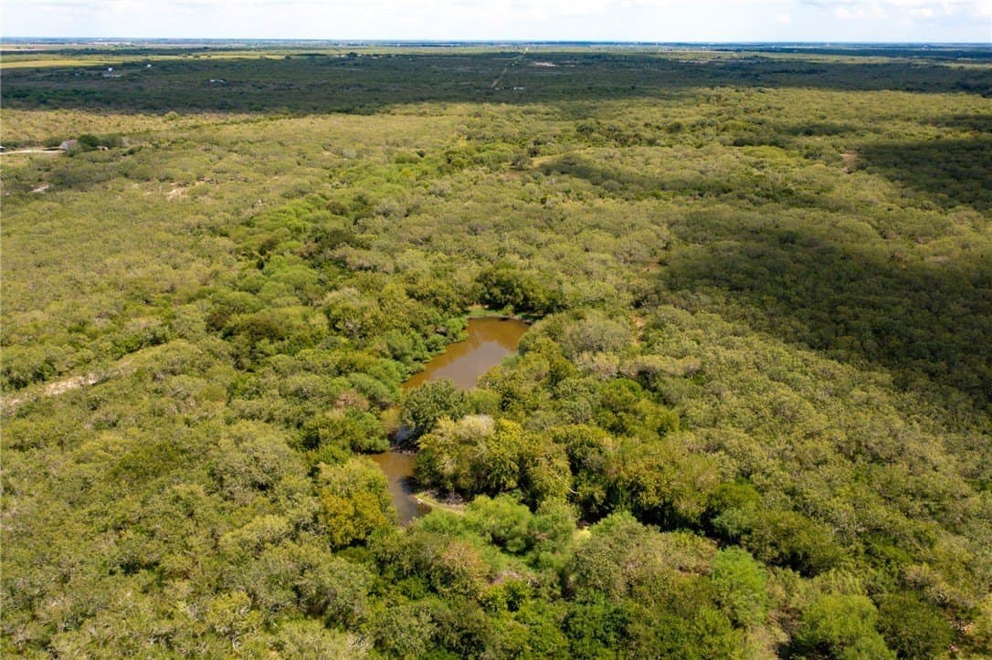 30 acres in Jim Wells County - photo 9