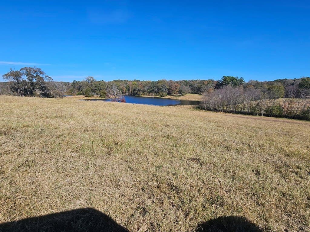 60.54 acres in Henderson County - photo 5