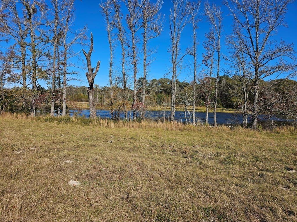 60.54 acres in Henderson County - photo 2