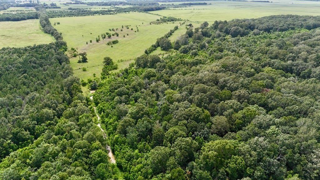 185 acres in Texas County - photo 4