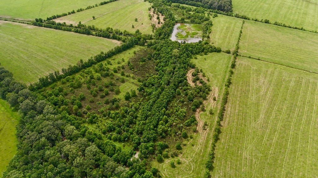 185 acres in Texas County - photo 13