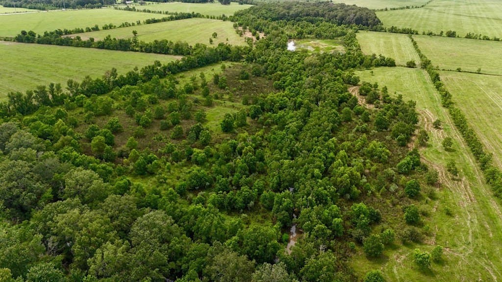 185 acres in Texas County - photo 15