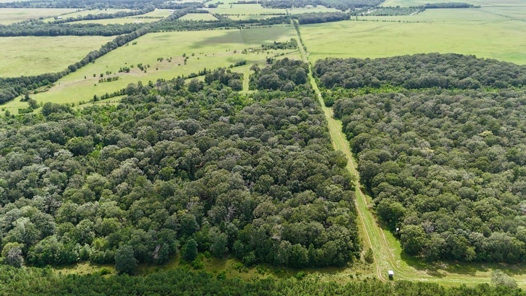 185 acres in Texas County - photo 10