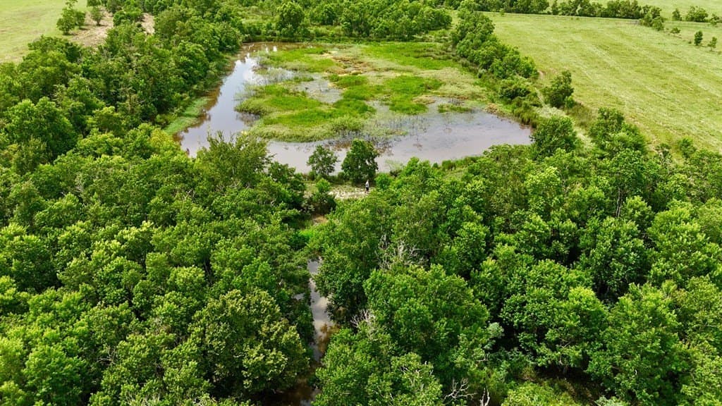 185 acres in Texas County - photo 11