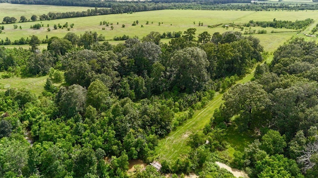 185 acres in Texas County - photo 2
