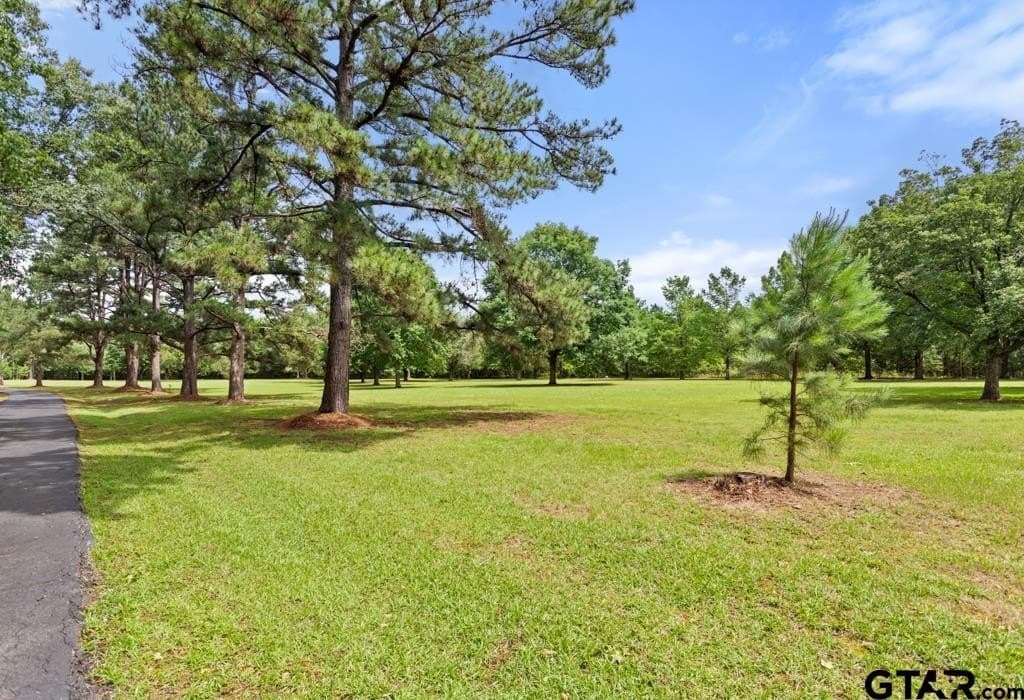15.61 acres in Smith County - photo 48