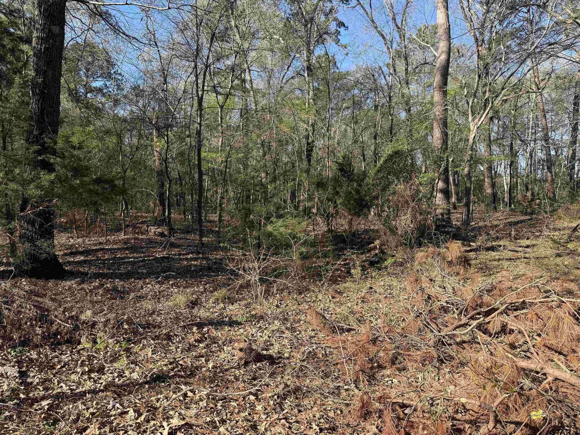 2.25 acres in Rusk County - photo 3