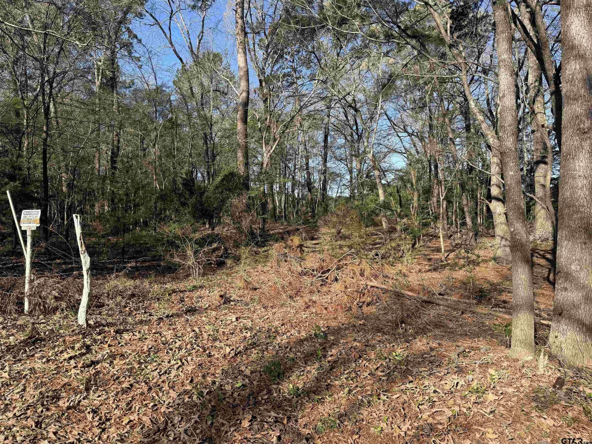 2.25 acres in Rusk County - photo 4