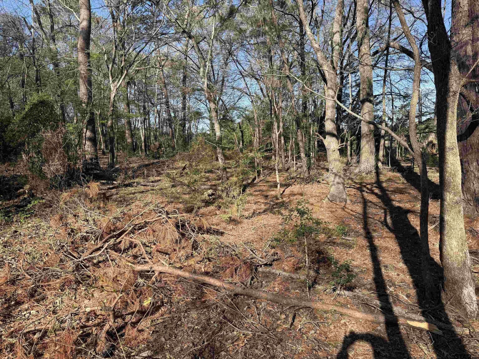 2.25 acres in Rusk County - photo 2