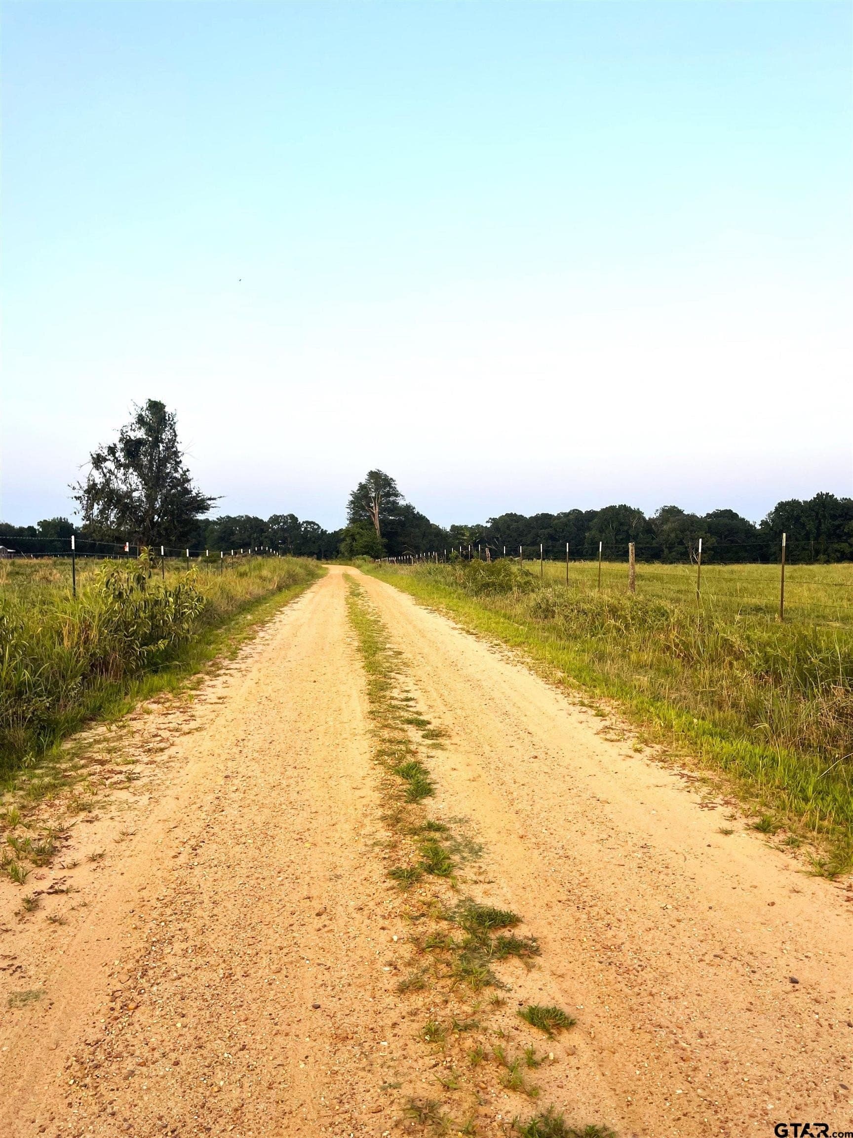 10 acres in Red River County - photo 11