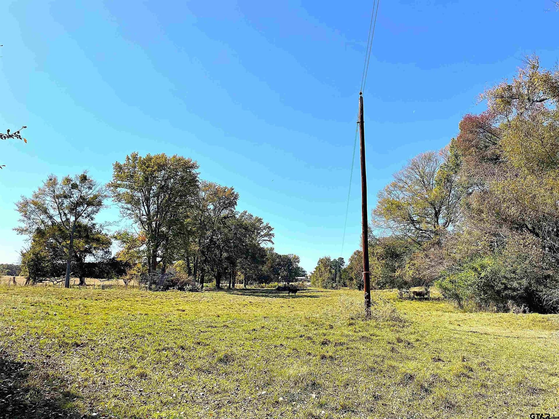 10 acres in Red River County - photo 6