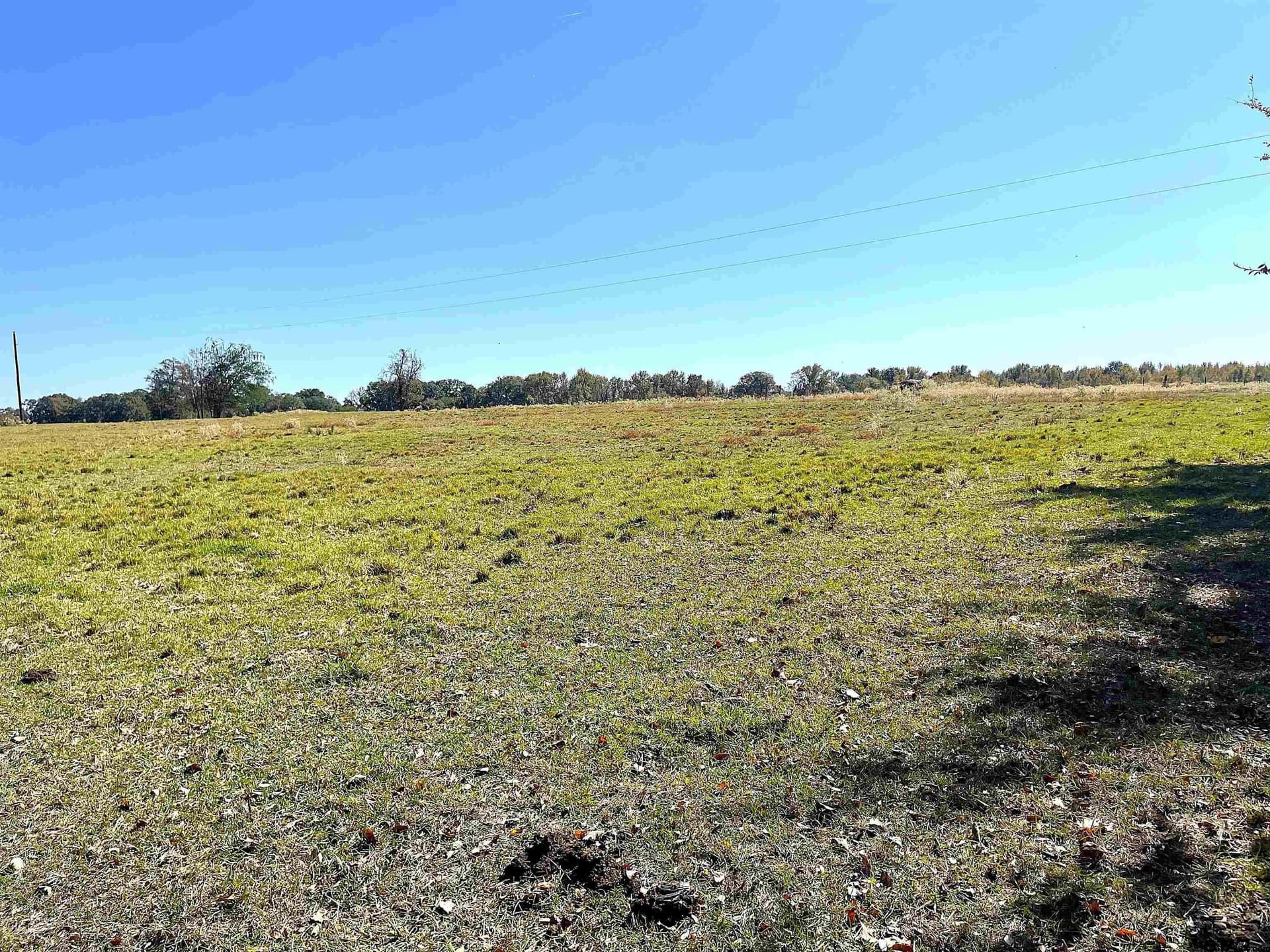 10 acres in Red River County - photo 8