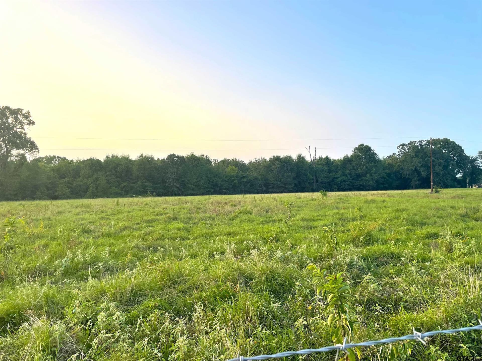 10 acres in Red River County - photo 2